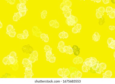 Diseño elegante vectorial amarillo claro con flores. Ilustración abstracta brillante con flores. Nueva plantilla para tu libro de marcas.