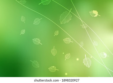 Verde claro, elegante plantilla vectorial amarillo con árboles, ramas. Ilustración creativa de estilo borroso con flores. Nueva plantilla para tu libro de marcas.