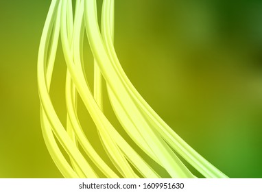 Light Green, Yellow vector glossy abstract layout. Shining colorful illustration in smart style. Background for designs.
