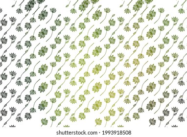 Light Green, Yellow vector hand painted pattern. Decorative illustration with abstract colorful leaves. New template for your brand book.