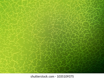 Light Green, Yellow vector indian curved template. Brand-new colored illustration in blurry style with doodles. The doodle design can be used for your web site.