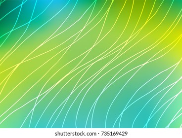 Light Green, Yellow vector indian curved background. Doodles on blurred abstract background with gradient. The pattern can be used for heads of websites and designs.