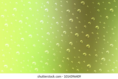 Light Green, Yellow vector layout with circle shapes. Illustration with set of shining colorful abstract circles. New design for ad, poster, banner of your website.