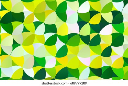 Light Green, Yellow vector modern geometrical circle abstract background. Dotted texture template. Geometric pattern in halftone style with gradient. 