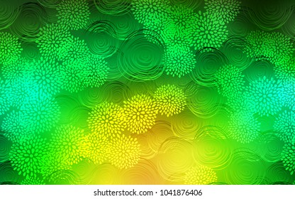 Light Green, Yellow vector natural abstract template. Flowers on blurred abstract background with gradient. The textured pattern can be used for website.