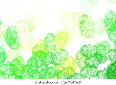 Light Green, Yellow vector natural backdrop with flowers. Brand new colored illustration with flowers. Textured pattern for websites, banners.