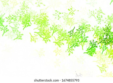 Color verde claro, patrón natural vector amarillo con ramas. Una elegante ilustración brillante con hojas y ramas. Diseño de Doodle para su sitio web.