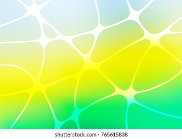 Light Green, Yellow vector natural elegant background. Shining colored illustration with doodles in Zen tangle style. Brand-new style for your business design.