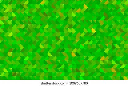 Light Green, Yellow vector pattern with colored spheres. Geometric sample of repeating circles on white background in halftone style.