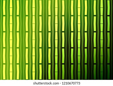 Light Green, Yellow vector pattern with narrow lines. Decorative shining illustration with lines on abstract template. The pattern can be used for busines ad, booklets, leaflets
