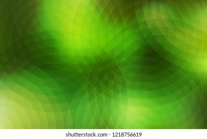 Light Green, Yellow vector pattern with spheres. Illustration with set of shining colorful abstract circles. New design for ad, poster, banner of your website.