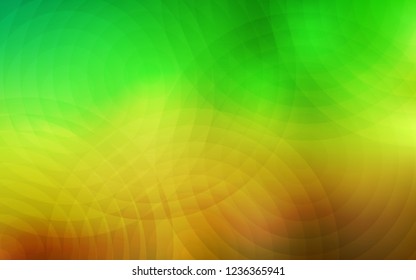 Light Green, Yellow vector pattern with spheres. Abstract illustration with colored bubbles in nature style. Pattern can be used for futuristic ad, booklets.