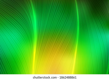 Light Green, Yellow vector pattern with bent lines. Colorful abstract illustration with gradient lines. Best design for your business.