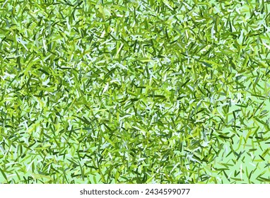 Light Green, Yellow vector pattern with sharp lines. Colorful shining illustration with lines on abstract template. Smart design for your business advert.