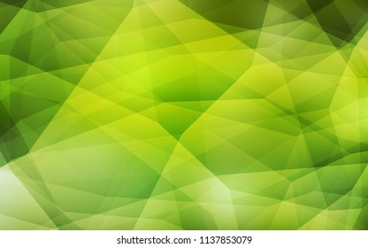 Light Green, Yellow vector polygonal template. Triangular geometric sample with gradient.  A new texture for your web site.