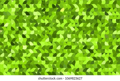Light Green, Yellow vector red pattern of geometric circles, shapes. Colorful mosaic banner. Geometric background with colored disks.