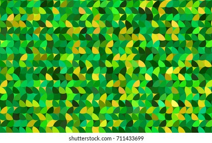Light Green, Yellow vector red pattern of geometric circles, shapes. Colorful mosaic banner. Geometric background with colored disks.