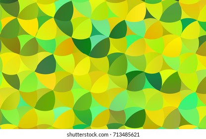 Light Green, Yellow vector red pattern of geometric circles, shapes. Colorful mosaic banner. Geometric background with colored disks.