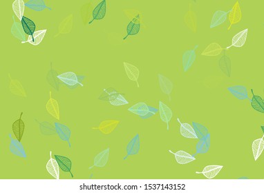 Light Green, Yellow vector sketch texture. Doodle illustration of leaves in Origami style with gradient. The best blurred design for your business.