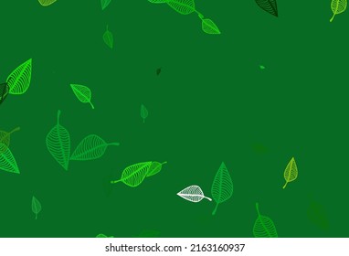 Diseño de boceto vectorial amarillo, verde claro. Diseño decorativo y elegante en estilo natural con hojas. Patrón para jefes de sitios web y diseños.