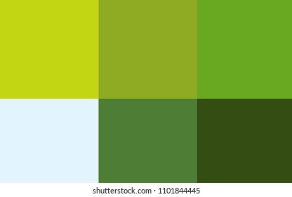 Light Green, Yellow vector template with rainbow of colours. Colorful gradient set with collection of rainbow colors. Pattern for easy creation of leaflets, banners, booklets.