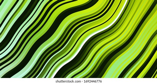 Planta vectorial amarillo verde claro con curvas. Ilustración colorida en estilo circular con líneas. Patrón para sitios web, páginas de inicio.