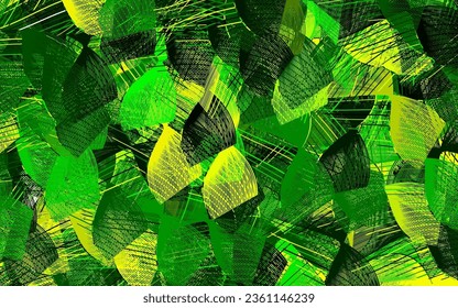 Planta vectorial amarillo, verde claro con líneas. Ilustración abstracta brillante con líneas irónicas. Nuevo diseño para tu anuncio.