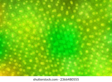 Light Green, Yellow vector template with circles. Glitter abstract illustration with blurred drops of rain. Pattern for textures of wallpapers.