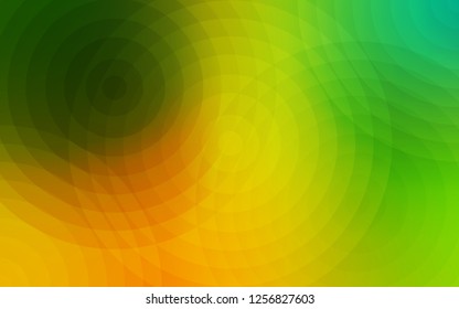 Light Green, Yellow vector texture with disks. Illustration with set of shining colorful abstract circles. Completely new template for your brand book.