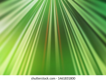 Light Green, Yellow vector texture with colored lines. Glitter abstract illustration with colored sticks. Pattern for ads, posters, banners.