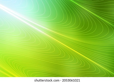 Verde claro, textura vectorial amarilla con líneas de color. Ilustración de color brillante con rayas nítidas. Mejor diseño para tu anuncio, afiche, banner.