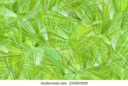 Light Green, Yellow vector texture with abstract forms.