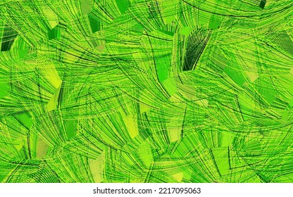 Light Green, Yellow vector texture with abstract forms.