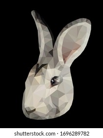 Light grey bunny face low poly triangular vector illustration isolated on black. Polygonal style trendy modern logo business fairy design template for easter invitations and greetings.