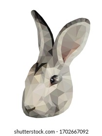 Light grey bunny face low poly triangular vector illustration isolated on white. Polygonal style trendy modern logo 