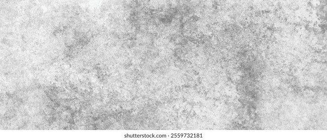 Light grey concrete texture background with subtle weathered patterns and smooth grunge details for design projects.
