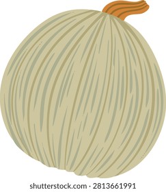 Light grey-green ribbed pumpkin vector. Isolated flat design of a textured round squash for modern autumn and thanksgiving decor