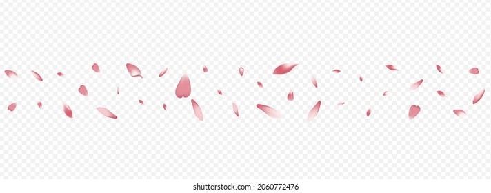 Light Heart Vector Panoramic Transparent Background. Cherry Romance Congratulation. Flower Flutter Poster. Blooming Fall Texture. Pink Blossom Mother Pattern.
