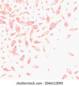 Light Heart Vector Transparent Background. Peach March Template. Blooming Valentine Pattern. Confetti Romance Illustration. Pink Floral Garden Texture.