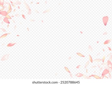 Light Heart Vector Transparent Background. Peach Valentine Card. Rose Romantic Pattern. Blooming Springtime Design. Pink Confetti Isolated Texture.