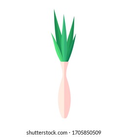 Light  high vase with narrow green leaf on white isolated background. Flat style, part of interior.
