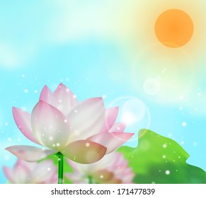 light illuminated  the background from beautiful translucent flowers 