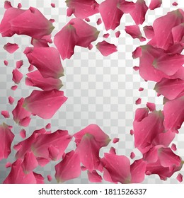 Lichtillustration. Leck Nahaufnahme an. Natürliches VektorPetal. Luftblase. Realistische Illustration. Einzige Karte. Wahre Lichtillustration. Luxus-Tapete. Botanisches Bio-Design.