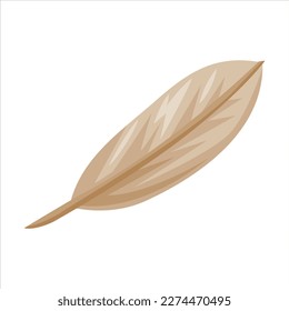 Light Indian Feather as Wild West Object Vector Illustration