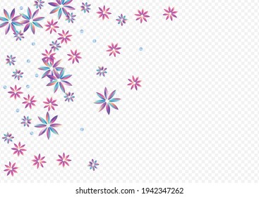 La Inflorescencia Ligera Art Fondo Transparente. Folleto de Petal holográfico. Feliz textura azul y rosa. Color Hibiscus Luxury Template.