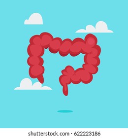 Light Large intestine vector illustration