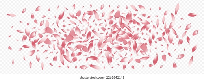 Light Leaf Vector Panoramic Transparent Background. Rose Fresh Illustration. Floral Flying Banner. Blossom Garden Pattern. White Rosa Down Template.