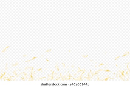 Light Lotus Fall Vector Transparent Background. Beige Spring Floral Illustration. Gold Flower Tender Cover. White Petal Beauty Texture. Fly Sakura Design.