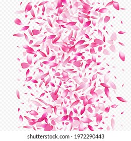 Light Lotus Vector Transparent Background. Blossom Wind Texture. Apple Romantic Poster. Cherry SummerDrop Design. Purple Leaf Flying Banner.