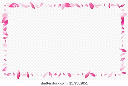 Light Lotus Vector Transparent Background. Floral Fresh Backdrop. Leaf Rain Congratulation. Peach Dream Cover. White Flower Wallpaper Design.